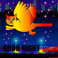 Good Night Cats GIF by PEEKASSO