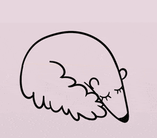 Ant Anteater GIF
