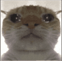 Sad Cat GIF