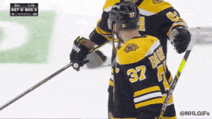 Ice Hockey Love GIF by NHL