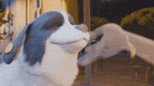 Excited Bog GIF by Bank Of Georgia