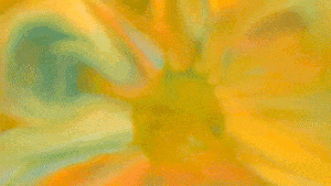 made to love GIF by John Legend