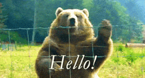 Moving Pictures Hello GIF