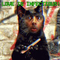 Good Morning Love GIF