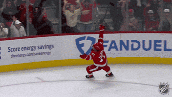 Excited Red Wings GIF by NHL