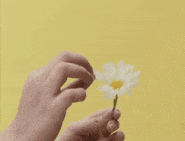 Flower Love GIF by Stephanie Poetri