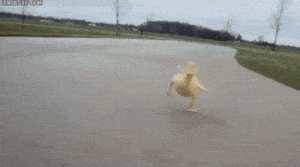 Excited School GIF