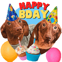 Excited Happy Birthday Sticker