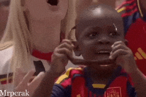 World Cup Fans GIF