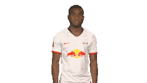 Red Bulls Love Sticker by Bundesliga