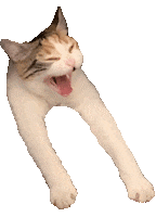 Cat Sticker by Smitten Kitten