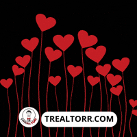 I Love You Hearts GIF by Trealtorr
