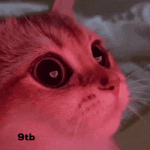 My Eyes Love GIF by Bashar