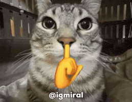Sub Cat Meme GIF