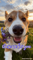 I Love You GIF