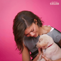 Spider-Man Hello GIF by BuzzFeed