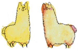 llama love GIF