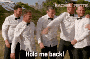 Rose Love GIF by The Bachelorette Australia