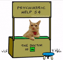 Mental Health Cute Cat GIF