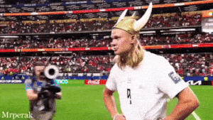 World Cup Fans GIF