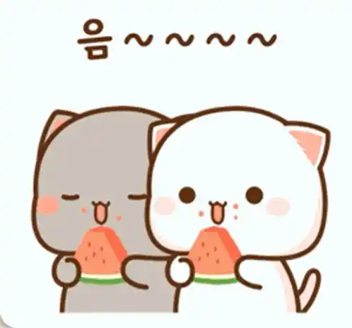 Goma Peach Cats Eating Watermelon