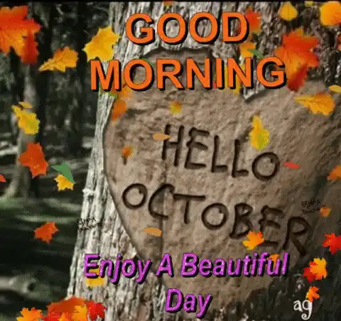 Good Morning Hello October