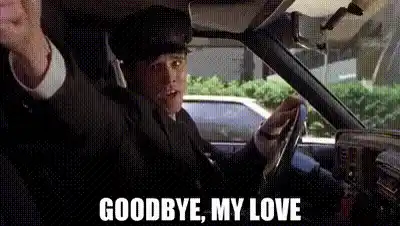 Goodbye, My Love