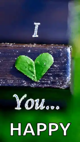 Green Heart I Love You Sparkle