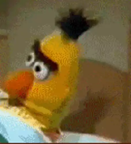 Bert's Confused Reaction - Sesame Street