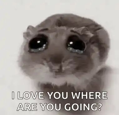 Hamsti Hamster: I Love You Where Are You Going?