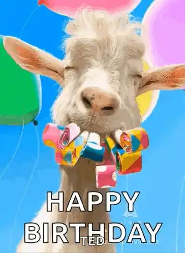 Happy 30th Birthday Goat Celebration
