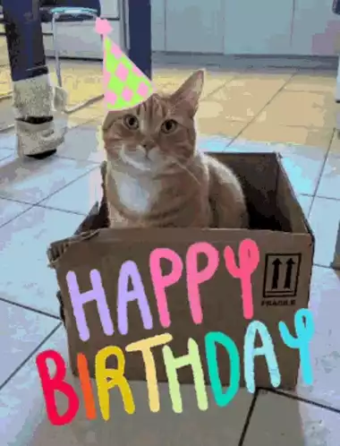 Happy Birthday Cat in a Box