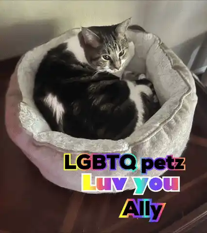 Happy Birthday Ally: LGBTQ Petz Love