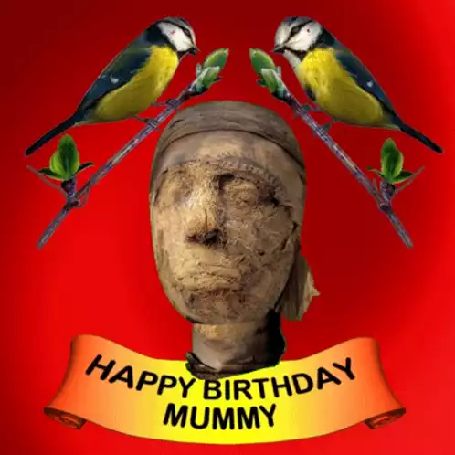 Happy Birthday Mummy: Funny Greeting Card
