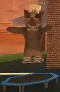 Roblox Cat Jumps on Trampoline
