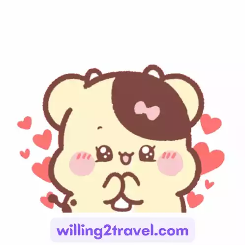 Cute Bear Says Hi Hello