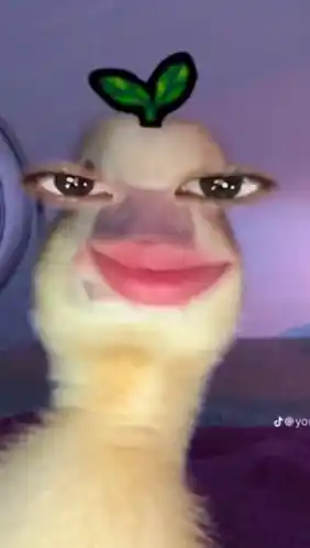 Hello