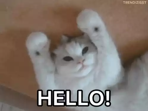Waving Cat Says Hello