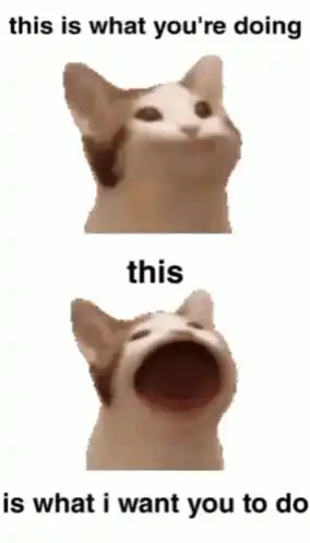 Talking Cat Says Hello