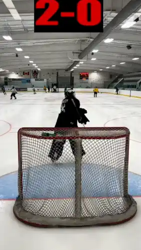Hello Goalie: Hockey Game Action 2-0
