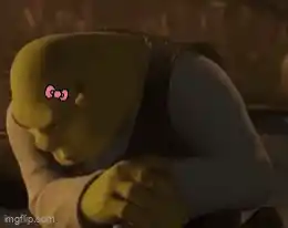 Shrek with Hello Kitty Bow