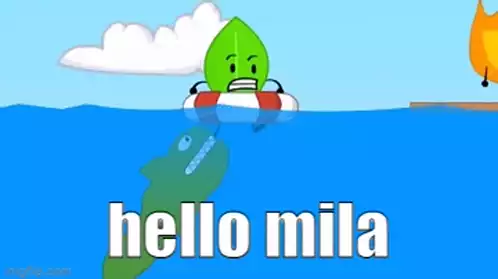 Hello Mila - BFDI Animation