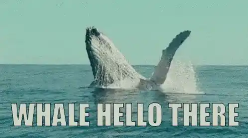 Whale Hello There - Humpback Breaching