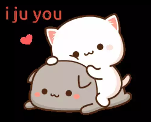 Cute Animated Cats I Ju You