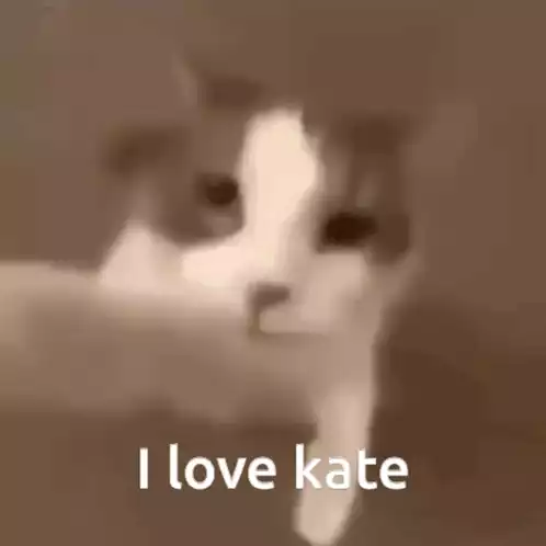 Cat Says 'I Love Kate'