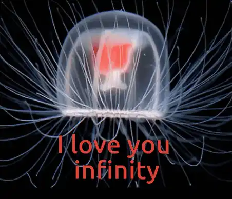 I Love You I Love You Infinity