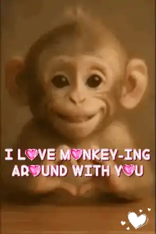 I Love You I Love You Monkey