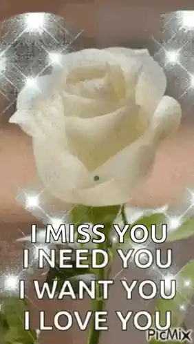 I Miss You, I Need You, I Want You, I Love You
