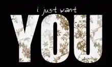 I Love You Ilu Text Animation