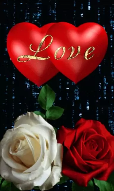I Love You Roses
